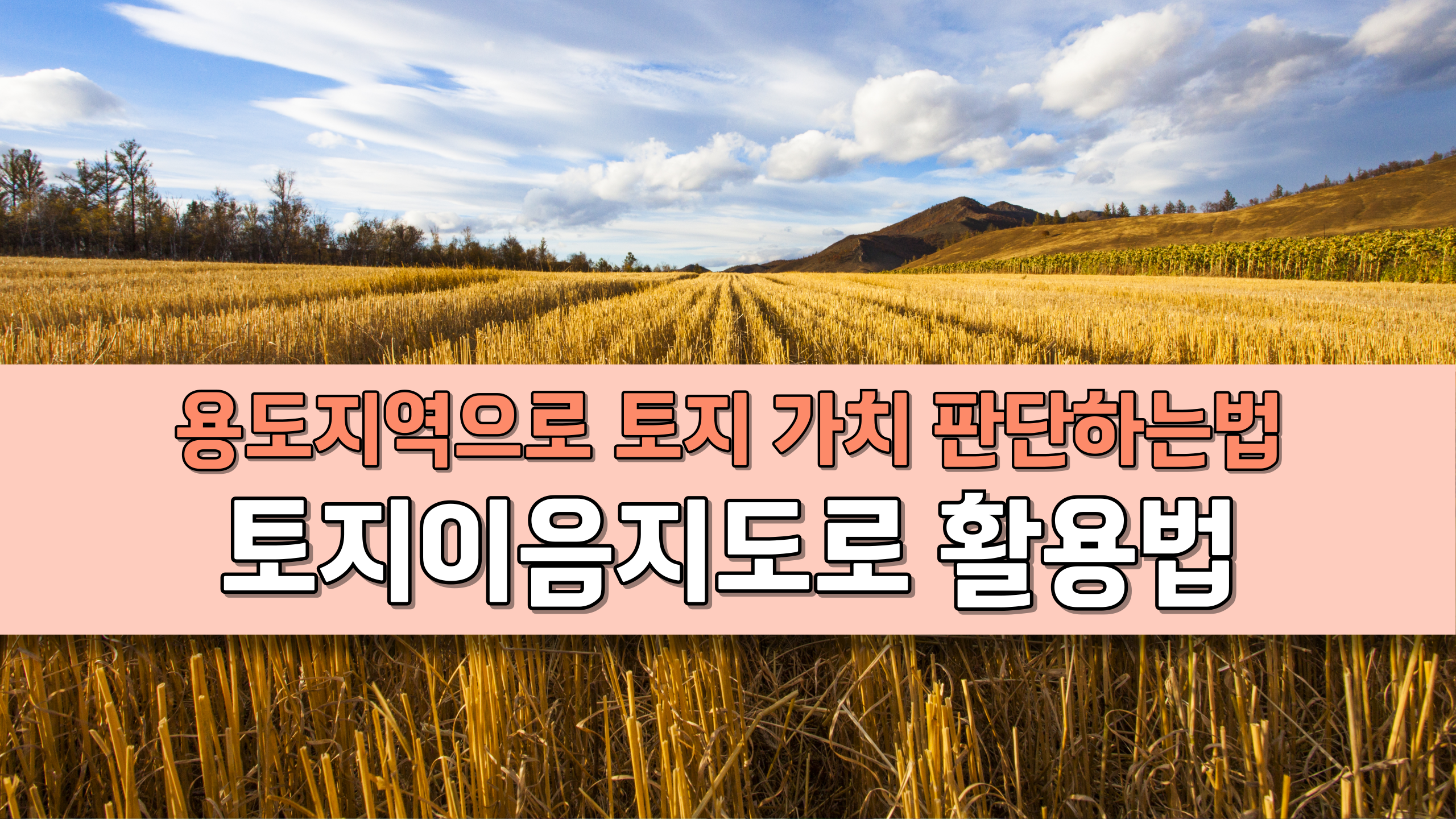 토지이음지도 용도지역 토지가치 판단법