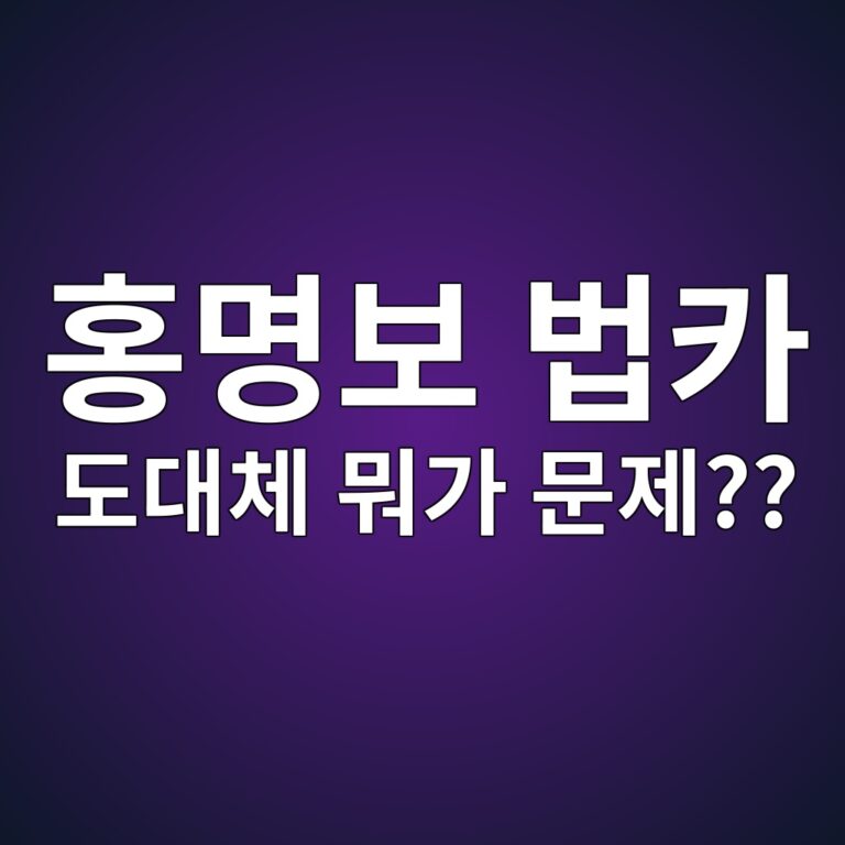 홍명보 축구대표팀 감독 법인카드 논란의 진실과 합리적 해석